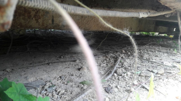 กระบะเปล่า...ของSMM สามมิตร ยาว6.5ม.(เป็นกระบะลูกพ่วง3คาน)