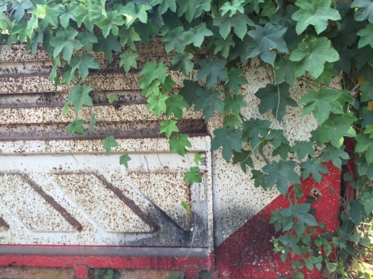 กระบะเปล่า...ของSMM สามมิตร ยาว6.5ม.(เป็นกระบะลูกพ่วง3คาน)