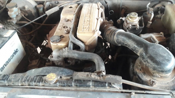 ขาย รถกระบะตอนเดียว ISUZU TFR 87HP รถใช้งานอยู่ ทะเบียนพร้อม