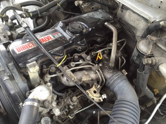 ขายไมตี้แค็บปี95 ขายไมตี้แค็บปี95