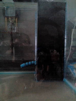 ขายตู้ปลาสั่งทำขนาด 18"X42"X20" มีระบบกรองน้ำครบชุด พร้อมชุดขาไฟ ขายตู้ปลาสั่งทำขนาด 18"X42"X20" มีระบบกรองน้ำครบชุด พร้อมชุดขาไฟ