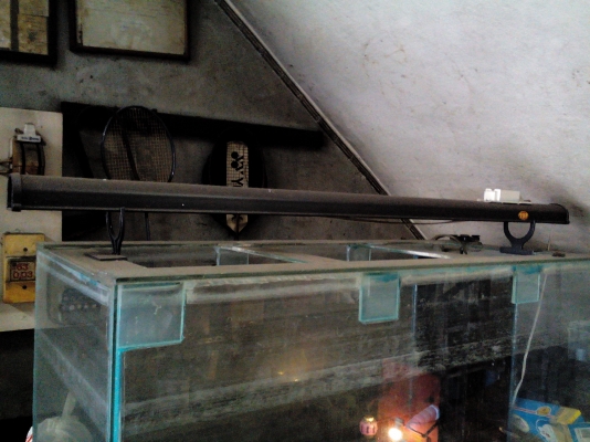 ขายตู้ปลาสั่งทำขนาด 18"X42"X20" มีระบบกรองน้ำครบชุด พร้อมชุดขาไฟ ขายตู้ปลาสั่งทำขนาด 18"X42"X20" มีระบบกรองน้ำครบชุด พร้อมชุดขาไฟ