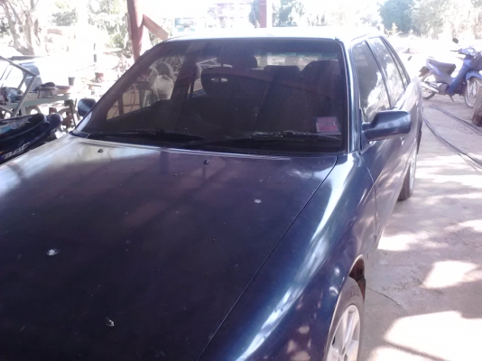 ขาย ถูกครับ