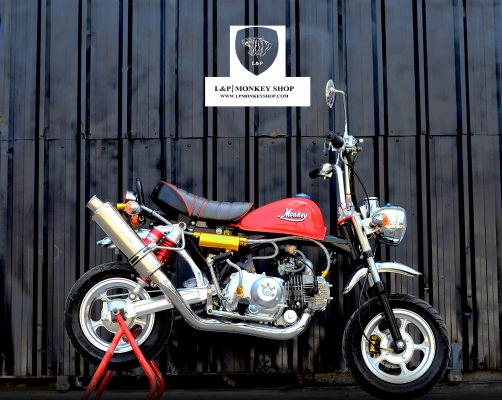 #จัดโปโมชั่นใหม่ลดราคาสุดๆ.รถต้นแบบ MSX มังกี้ กอลิล่า แต่ง มี100 แบบให้เลือก ราคาเริ่มต้น.......