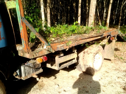 ขายด่วนรถแบ๊คโฮ KOMATSU PC50uu-1 สภาพพร้อมใช้งาน ขายด่วนรถแบ๊คโฮ KOMATSU PC50uu-1 สภาพพร้อมใช้งาน