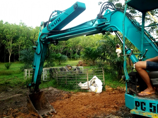 ขายด่วนรถแบ๊คโฮ KOMATSU PC50uu-1 สภาพพร้อมใช้งาน ขายด่วนรถแบ๊คโฮ KOMATSU PC50uu-1 สภาพพร้อมใช้งาน