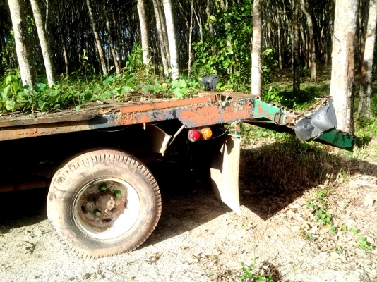 ขายด่วนรถแบ๊คโฮ KOMATSU PC50uu-1 สภาพพร้อมใช้งาน ขายด่วนรถแบ๊คโฮ KOMATSU PC50uu-1 สภาพพร้อมใช้งาน