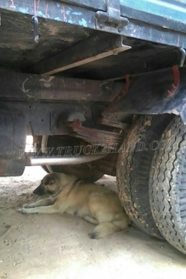 รถบรรทุก 6 ล้อ  ISUZU  KS22  ปีจดทะเบียน  2523  110 แรงม้า