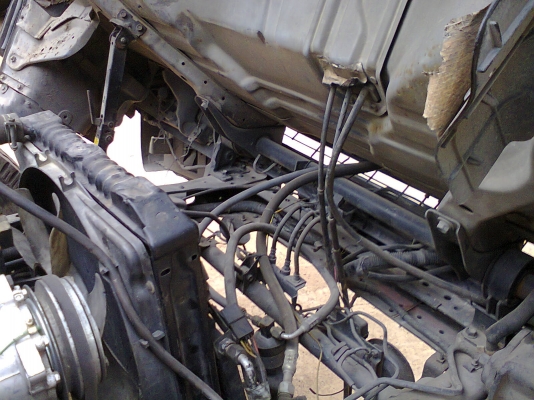 ขาย NPR 120 ห้างแท้ สภาพเดิมๆ เครื่องดี แชชซีสวย แอร์เย็น (ขายส่งราคาพ่อค้าเลยครับ)