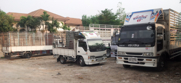 รถรับจ้าง ทั่วไป 4ล้อ6ล้อ เฮี๊ยบ กทม.-ตจว. 24 ชม. ทีมงานภุชงค์ชัยภูมิ เรียกใช้โทร 0837344696,0811709218 รถรับจ้าง ทั่วไป 4ล้อ6ล้อ เฮี๊ยบ กทม.-ตจว. 24 ชม. ทีมงานภุชงค์ชัยภูมิ เรียกใช้โทร 0837344696,0811709218