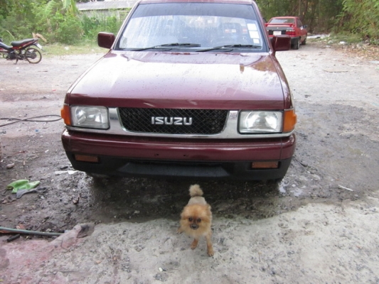 Isuzu TFR 93 มังกรทอง 2500 90 Hp สีสด ๆ สวยๆ บางทั้งคันพร้อมใช้งาน