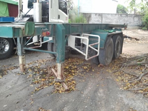 ขายหางสั้นเทลเลอร์