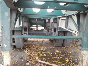 ขายหางสั้นเทลเลอร์