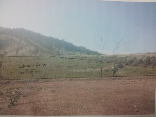 ขายที่ดิน ต.ปอน อ,ทุ่งช้าง จ,น่าน เนื้อที่ประมาณ 13-2-90 ไร่