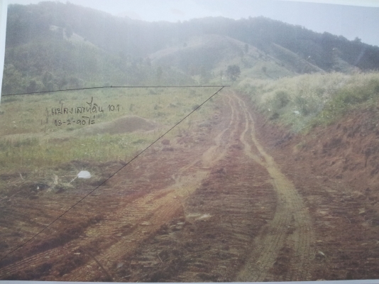 ขายที่ดิน ต.ปอน อ,ทุ่งช้าง จ,น่าน เนื้อที่ประมาณ 13-2-90 ไร่