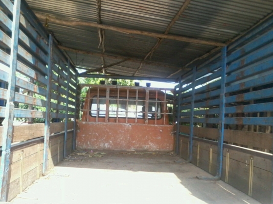 ขายรถบรรทุก6ล้อ NISSUN ปี40 รถห้างแท้ เครื่องFD6 150cc ยาว5เมตร เครื่องดี คัสชีส์CMA 81 F 01495สวย รถพร้อมใช้งาน ครับ