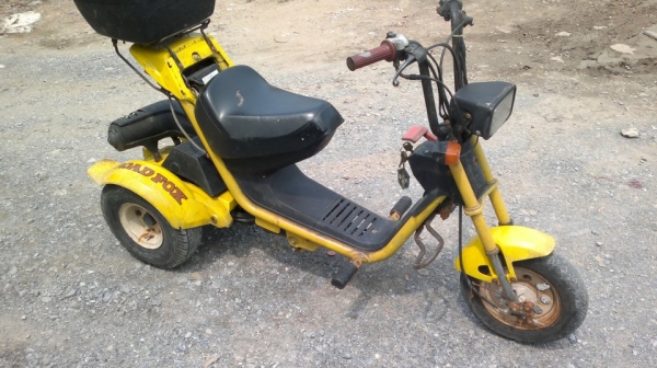 ขายป๊อบ3ล้อฮอนด้า ROAD FOX