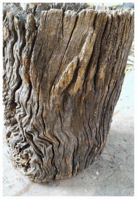 ครกไม้โบราณ ขายพร้อมกับตะกร้าหวายไม้เก่าสวย เนื้อแข็งและหนักมาก เป็นไม้ที่ถูกกฏหมายครับ อายุเกือบจะร้อยปีได้