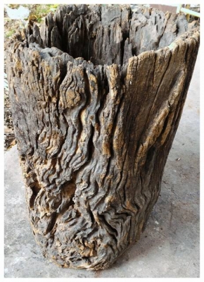 ครกไม้โบราณ ขายพร้อมกับตะกร้าหวายไม้เก่าสวย เนื้อแข็งและหนักมาก เป็นไม้ที่ถูกกฏหมายครับ อายุเกือบจะร้อยปีได้