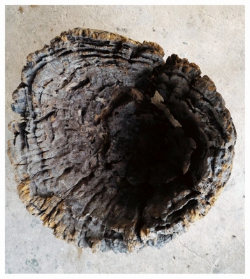 ครกไม้โบราณ ขายพร้อมกับตะกร้าหวายไม้เก่าสวย เนื้อแข็งและหนักมาก เป็นไม้ที่ถูกกฏหมายครับ อายุเกือบจะร้อยปีได้