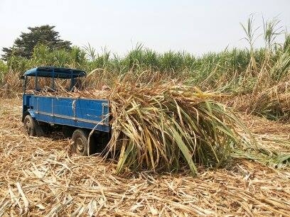 ขายรถอีแต๋น