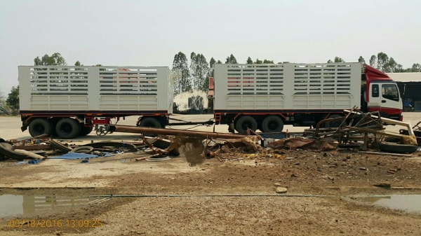 ขายรถพ่วง 24 ล้อ แม่-ลูก กระบะเหล็กคอกเกษตรไม่ดั้ม อู่.มีโชครุ่งเรืองกิจ ISUZU  GIGA เครื่อง 6WA1-350 แรง ราคา.1380000 สนใจรีบจองด่วน