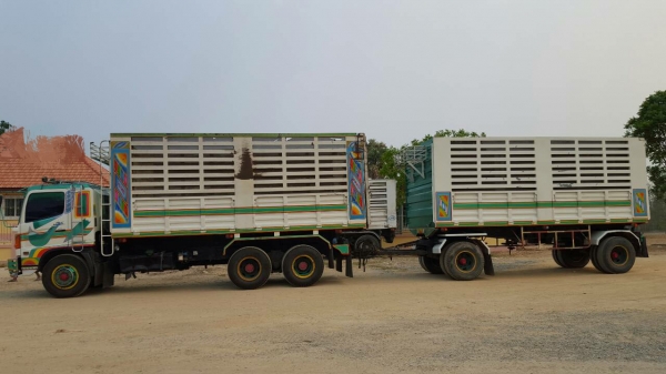 ขายรถพ่วง 22 ล้อ แม่-ลูก กระบะเนียมคอกเกษตรดั้ม HINO 260 ปี.47 รถสวย พร้อมใช้ ราคาย้อมๆ สนใจรีบจองด่วน