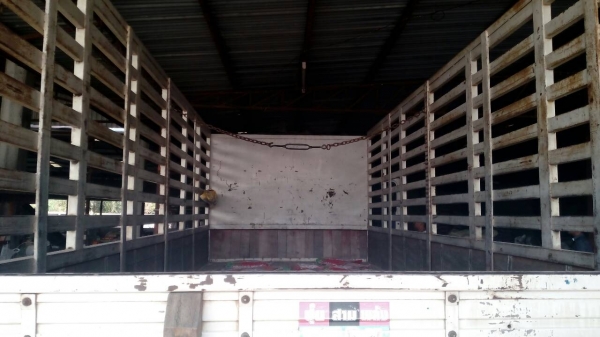 ขายๆหกล้อ ฮีโน่ FC4J145ปี51แอร์เย็นๆ ช่วงยาว5.50ม สภาพดีสวยกริ๊ปเดิมทั้งคัน เล่มทะเบียนพร้อมโอน ราคา 825,000บ ครับ ขายๆหกล้อ ฮีโน่ FC4J145ปี51แอร์เย็นๆ ช่วงยาว5.50ม สภาพดีสวยกริ๊ปเดิมทั้งคัน เล่มทะเบียนพร้อมโอน ราคา 825,000บ ครับ