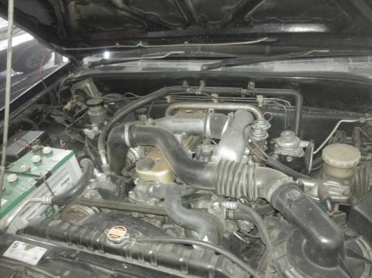 ขายกระบะ Rodio