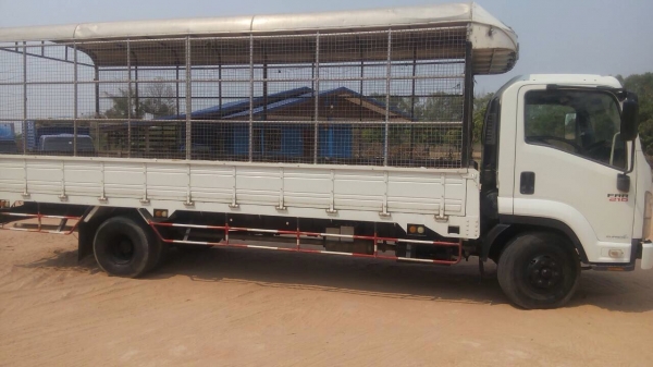 ขาย ISUZU FRR 210 ปี51 ยาว6.50