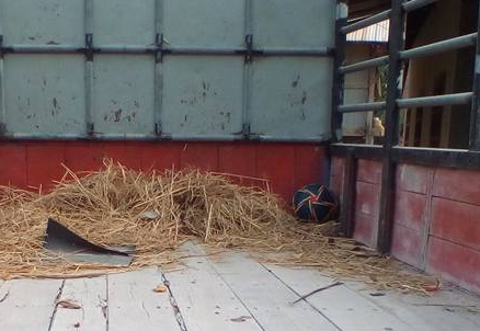 **319,000 บ.ต่อรอง/// 6ล้อ ISUZU NKR-110 หัวการ์ตูน ห้างแท้ จดใหม่ปี45 เครื่อง/เกียร์/ช่วงล่าง เดิม คัสซีสวย หัวสวย พ.ธรรมดา กระบะพื้นไม้คอกเหล็ก4.30ม. ยาง7.50/16 พร้อมใช้งาน **ขาย ISUZU NKR-110 หัวการ์ตูน 6ล้อบรรทุก สภาพสวย พร้อมใช้งาน ISUZU NKR58LX5 S 4 **319,000 บ.ต่อรอง/// 6ล้อ ISUZU NKR-110 หัวการ์ตูน ห้างแท้ จดใหม่ปี45 เครื่อง/เกียร์/ช่วงล่าง เดิม คัสซีสวย หัวสวย พ.ธรรมดา กระบะพื้นไม้คอกเหล็ก4.30ม. ยาง7.50/16 พร้อมใช้งาน **ขาย ISUZU NKR-110 หัวการ์ตูน 6ล้อบรรทุก สภาพสวย พร้อมใช้งาน ISUZU NKR58LX5 S 4