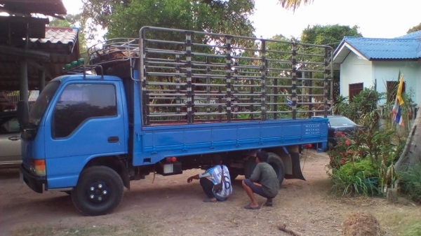 **319,000 บ.ต่อรอง/// 6ล้อ ISUZU NKR-110 หัวการ์ตูน ห้างแท้ จดใหม่ปี45 เครื่อง/เกียร์/ช่วงล่าง เดิม คัสซีสวย หัวสวย พ.ธรรมดา กระบะพื้นไม้คอกเหล็ก4.30ม. ยาง7.50/16 พร้อมใช้งาน **ขาย ISUZU NKR-110 หัวการ์ตูน 6ล้อบรรทุก สภาพสวย พร้อมใช้งาน ISUZU NKR58LX5 S 4 **319,000 บ.ต่อรอง/// 6ล้อ ISUZU NKR-110 หัวการ์ตูน ห้างแท้ จดใหม่ปี45 เครื่อง/เกียร์/ช่วงล่าง เดิม คัสซีสวย หัวสวย พ.ธรรมดา กระบะพื้นไม้คอกเหล็ก4.30ม. ยาง7.50/16 พร้อมใช้งาน **ขาย ISUZU NKR-110 หัวการ์ตูน 6ล้อบรรทุก สภาพสวย พร้อมใช้งาน ISUZU NKR58LX5 S 4