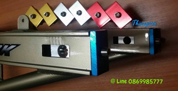 หางปลาสวิงอาม