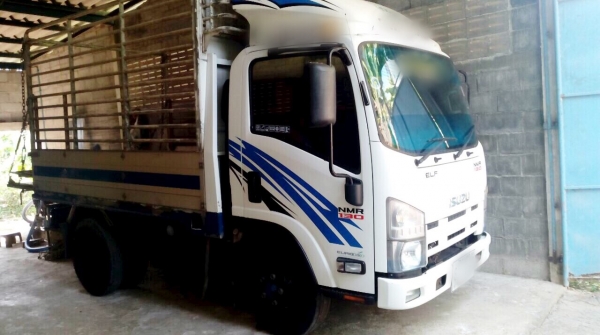 ขาย 6 ล้อ อีซูซุ NMR  130 แรง ปี 53 สภาพสวยเดิม พร้อมใช้  จัดแนนท์ได้ครับ สนใจติดต่อ 081-9420141  ,  081-5715326