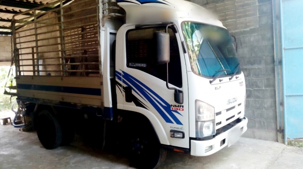 ขาย 6 ล้อ อีซูซุ NMR  130 แรง ปี 53 สภาพสวยเดิม พร้อมใช้  จัดแนนท์ได้ครับ สนใจติดต่อ 081-9420141  ,  081-5715326