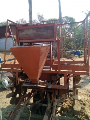 หางปลูกอ้อย ร่องคู่