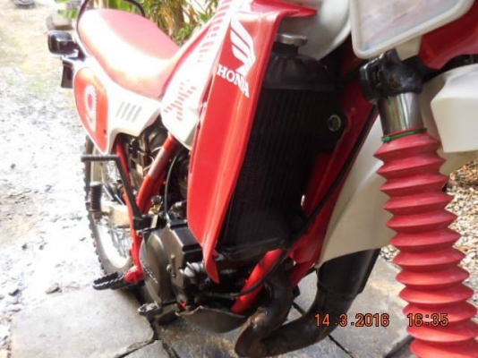 HONDA MTX125 สวยเครื่องดีภาษีครบส่งต่างจังหวัดได้