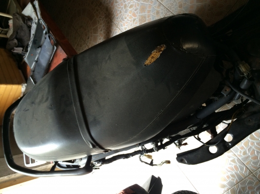 Honda freeway250 mf03