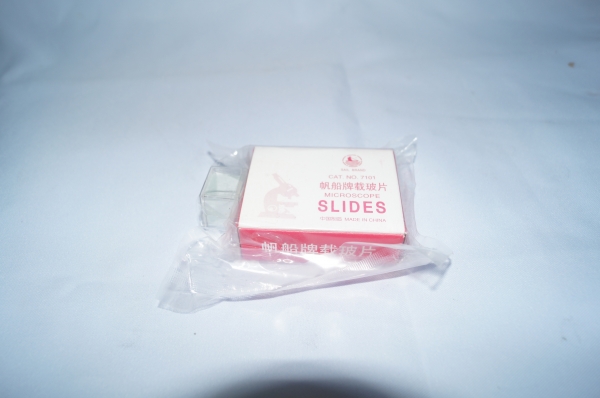 กล้องจุทรรศน์