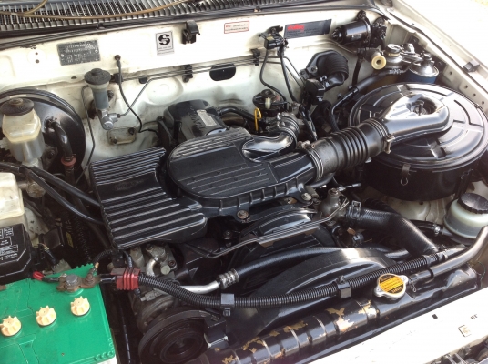 โตโยต้า ไทเกอร์ ตอนเดียว โตโยต้า ไทเกอร์ ตอนเดียว