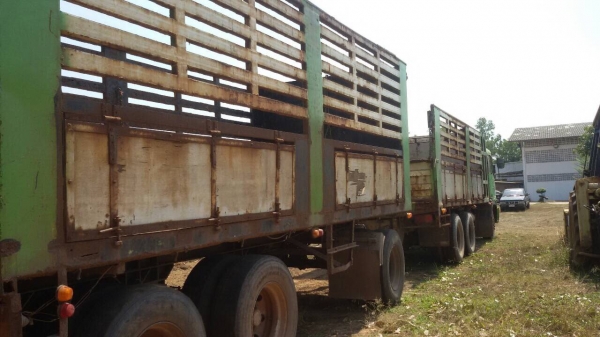 STT12ลูกพ่าง 3 เพลา