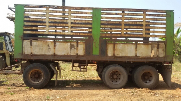 STT12ลูกพ่าง 3 เพลา