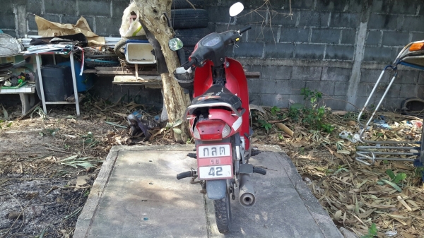 ดรีมสตาทมือ