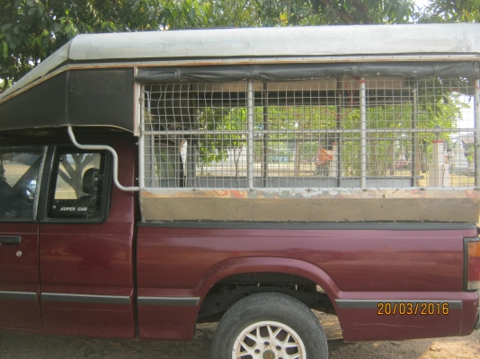 ขายรถมาสดัา