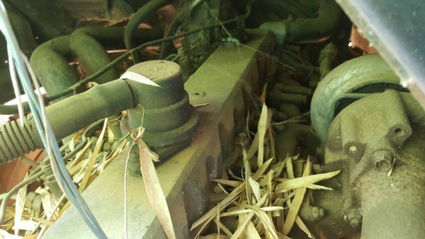 ขาย หัวคัสซี 10 ล้อ เพลาเดียว ISUZU JCM วางหัว ROCKY เครื่อง HO7C เทอร์โบ 210 แรงม้า เกียร์ HO เฟืองท้าย FUSO เบรคทิฟฟี่ พาวเวอร์ คัสซีมีบวม ทะเบียนครบพร้อมโอนครับ ขาย หัวคัสซี 10 ล้อ เพลาเดียว ISUZU JCM วางหัว ROCKY เครื่อง HO7C เทอร์โบ 210 แรงม้า เกียร์ HO เฟืองท้าย FUSO เบรคทิฟฟี่ พาวเวอร์ คัสซีมีบวม ทะเบียนครบพร้อมโอนครับ