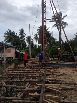 ขายปั้นจั่น 13 เมตร ขายปั้นจั่น 13 เมตร