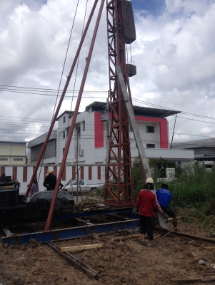 ขายปั้นจั่น 13 เมตร ขายปั้นจั่น 13 เมตร