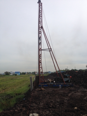 ขายปั้นจั่น 13 เมตร ขายปั้นจั่น 13 เมตร