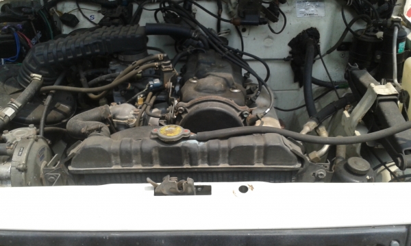 แตงสวยไว้สวยๆ  ไมใด้ลุย