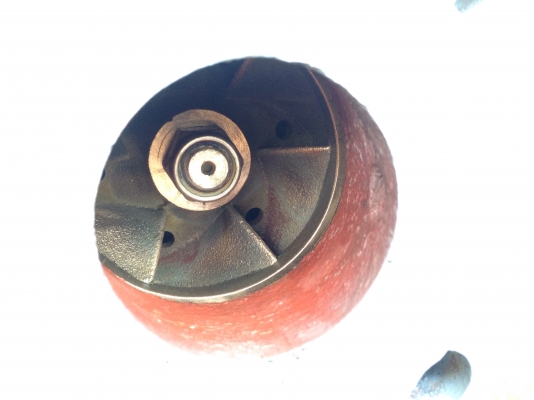 ขายปั้มน้ำหอยโข่ง Teral ใบพัดทองเหลือง ขนาดเข้า 2.5นิ้ว ออก 2นิ้ว ใส่กับมอเตอร์ Teco 2HP. 1400rpm. 380V มาพร้อมแท่นตั้งอย่างดี สภาพสวย วิ่งนิ่ม พร้อมใช้งาน